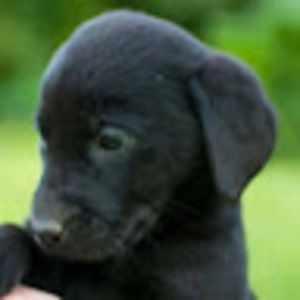 Meet your Posher, Caitlin